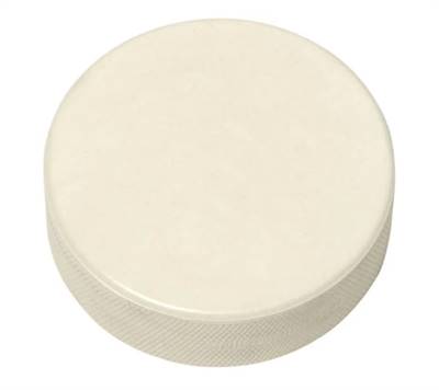 Sidelines Goalie Hockey Puck